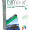 nimbus