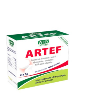 ARTEF – Confezione 24 Bustine da 7 gr