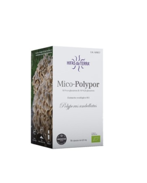 Mico-Polypor (Polyporus umbellatus) estratto – Confezione 70 Capsule