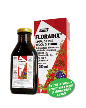 Floradix – Confezione 250 ml