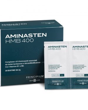 Principium AMINASTEN HMB 400