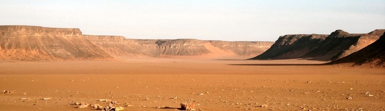 Al momento stai visualizzando Argan: l’oro del deserto