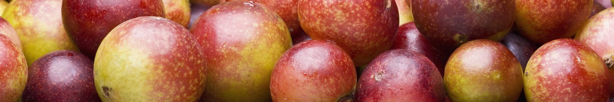 Scopri di più sull'articolo Camu-camu: un super-alimento dall’Amazzonia