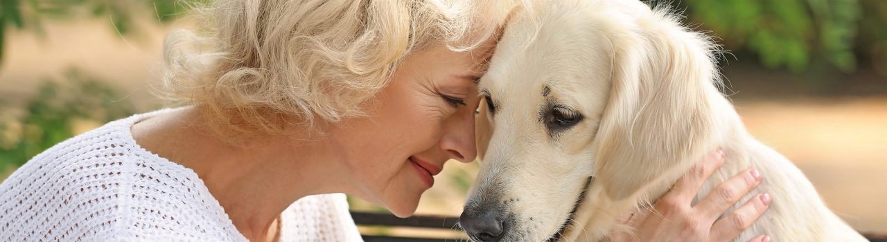 Al momento stai visualizzando Canapa terapeutica per cani e gatti: quando si utilizza e quali sono gli effetti positivi