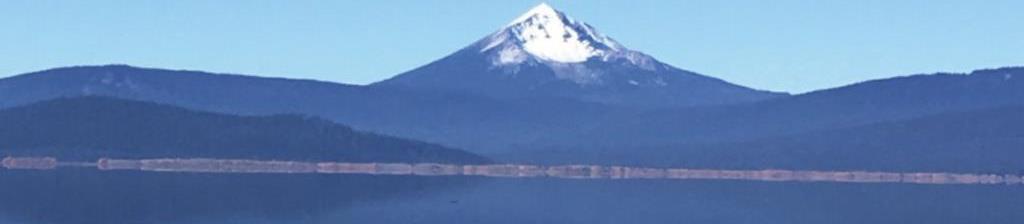 Scopri di più sull'articolo Alga Klamath (Aphanizomenon Flos Aquae): nutriente straordinario