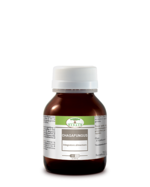 CHAGAFUNGUS 60 capsule da 366 mg