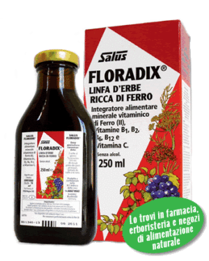 Floradix Bottiglia da 250 ml